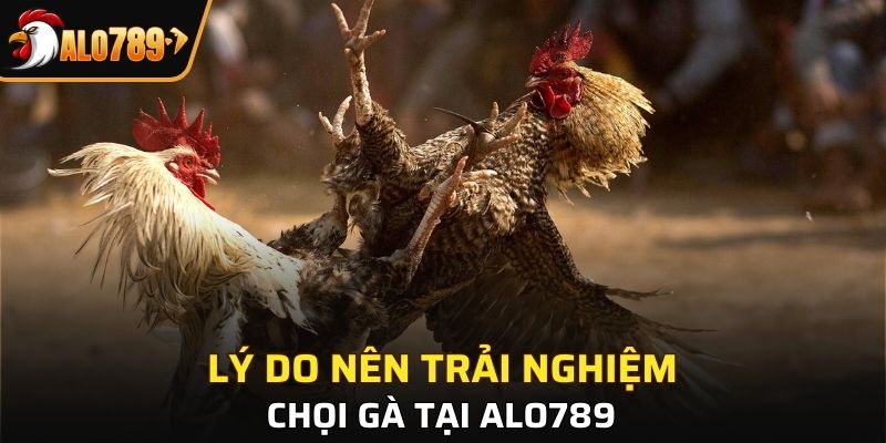 2 ưu điểm nổi bật khi tham gia chơi tại nền tảng