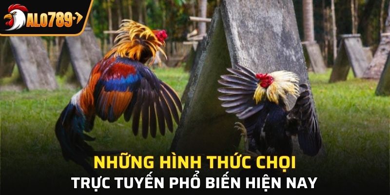 3 hình thức chọi gà phổ biến tại nhà cái