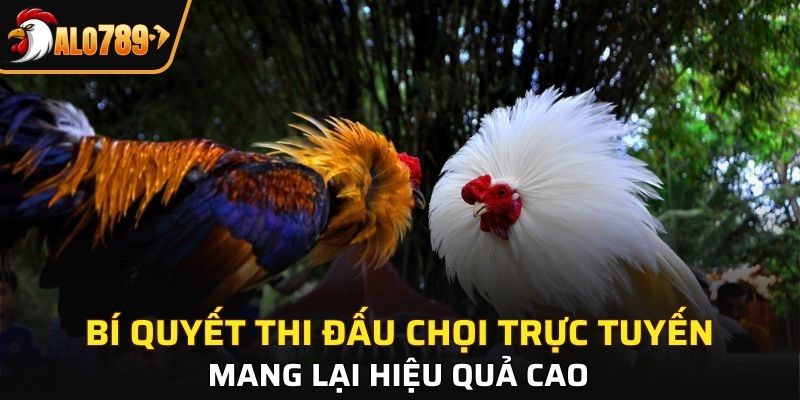 3 mẹo hữu ích giúp bạn tham gia hiệu quả tại Alo789