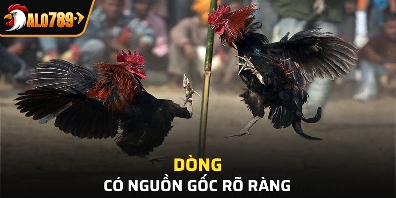 Dòng có nguồn gốc rõ ràng