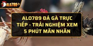 Alo789 đá gà trực tiếp