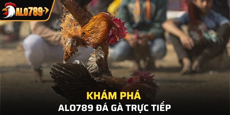 Alo789 đá gà trực tiếp là gì mà nhiều người say mê