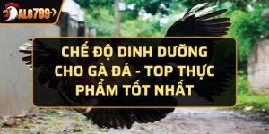 chế độ dinh dưỡng cho gà đá