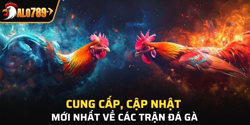 Cung cấp, cập nhật mới nhất về các trận đá gà