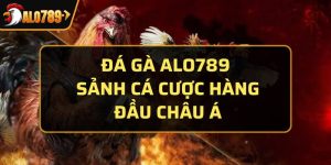 đá gà Alo789