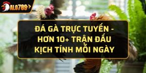 đá gà trực tuyến