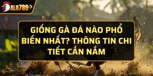 giống gà đá