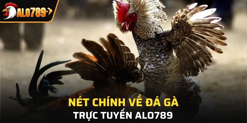 Khái quát về đá gà trực tuyến tại Alo789