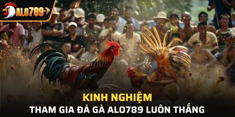 Chia sẻ kinh nghiệm tham gia đa gà luôn thắng tại Alo789
