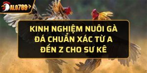 kinh nghiệm nuôi gà đá