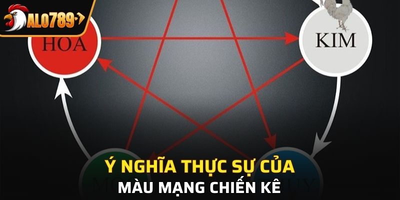 Nét chính về ý nghĩa màu mạng chiến kê