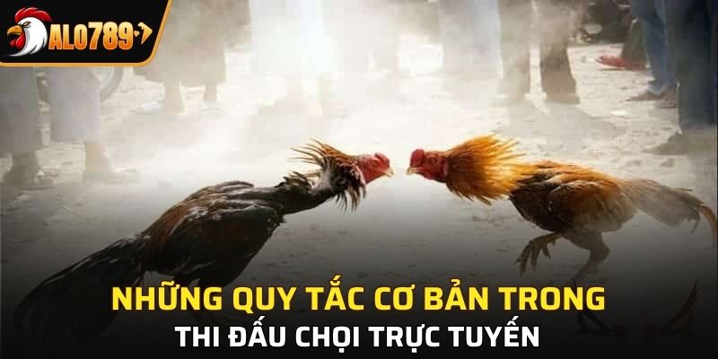 Quy định về luật thi và thời gian đấu bạn cần biết