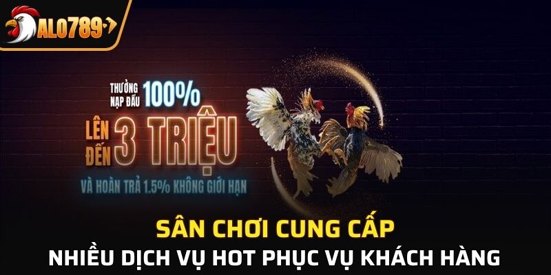 Sân chơi cung cấp nhiều dịch vụ hot phục vụ khách hàng