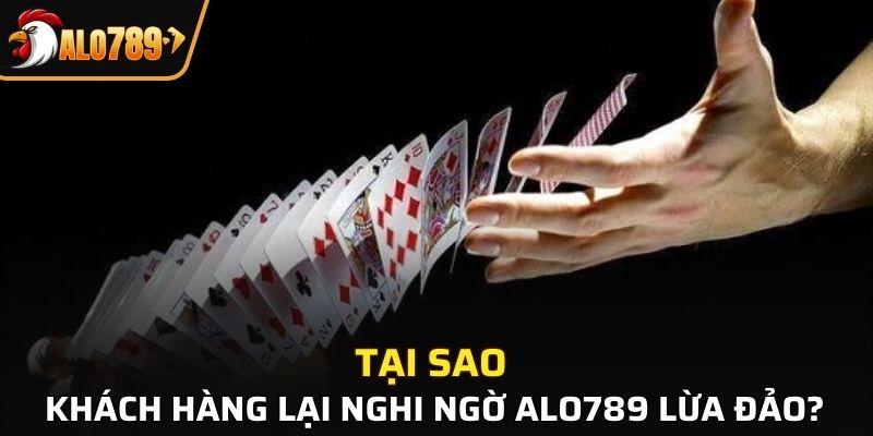 Sân chơi đã xây dựng được một chỗ đứng vững chắc