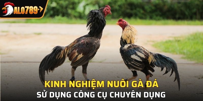 Sử dụng những công cụ chuyên dụng